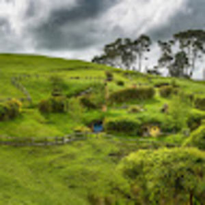 Meet your Posher, Gertz